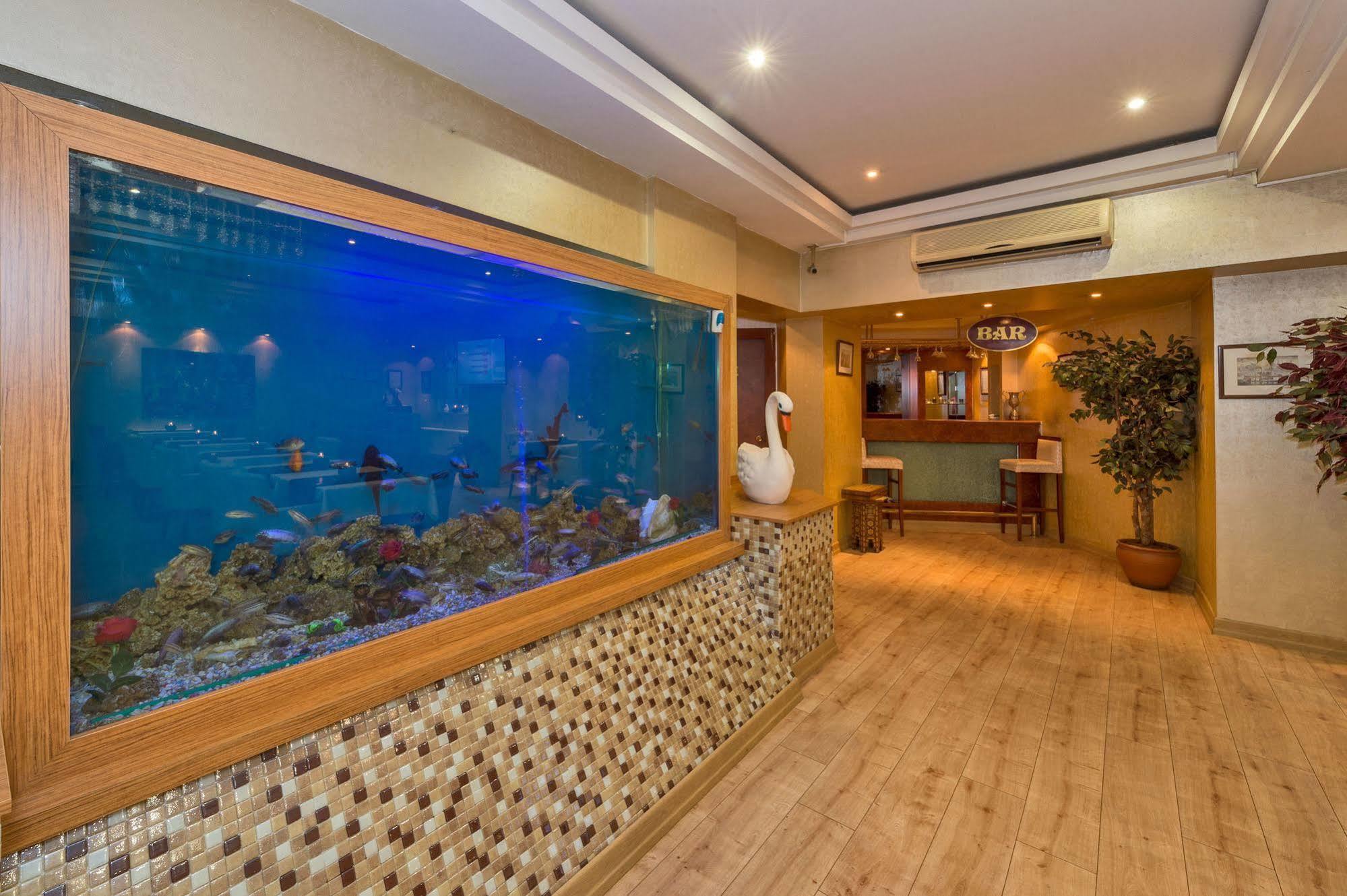 Beyaz Kugu Hotel Istanbul Eksteriør bilde
